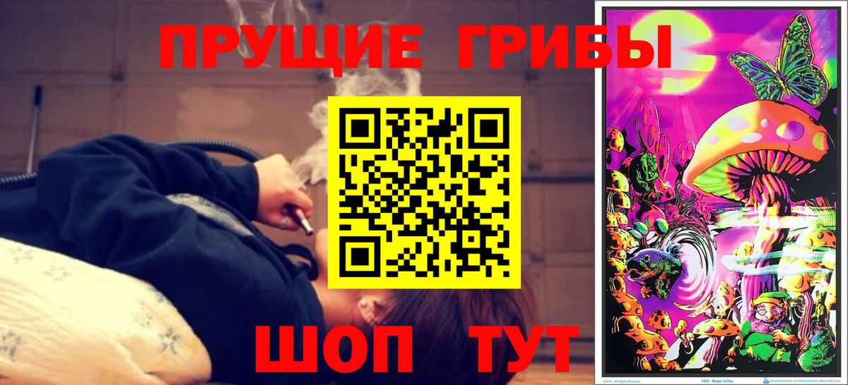 Псилоцибиновые грибы MAGIC MUSHROOMS  купить наркоту  Димитровград  Вход с VPN 